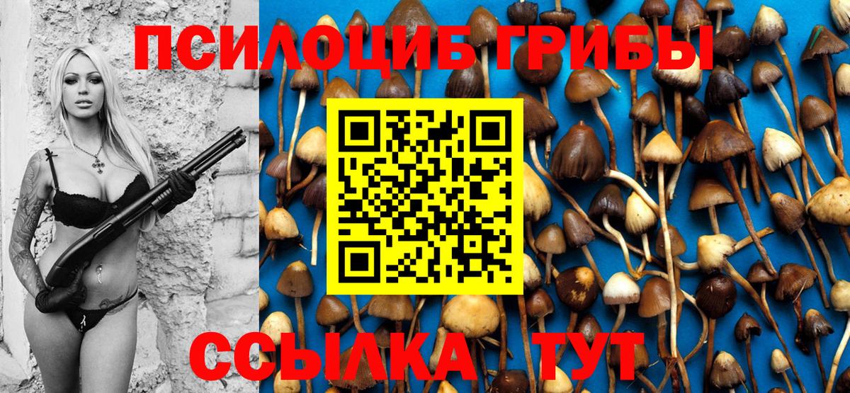 Псилоцибиновые грибы прущие грибы Пушкино