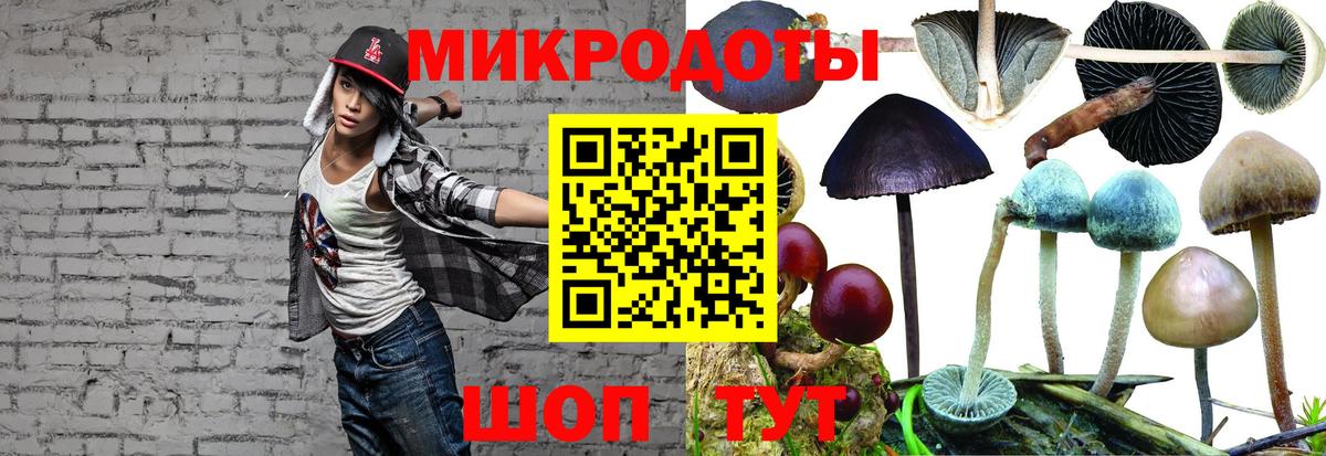 закладка  Вход с VPN  Пушкино  Галлюциногенные грибы MAGIC MUSHROOMS 